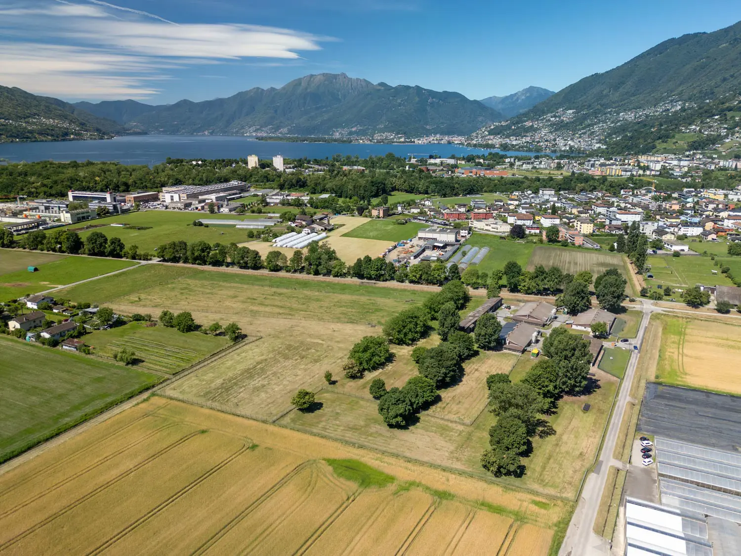 Veduta aerea dell'azienda Pollicoltura Gordola sul Piano di Magadino, con il Lago Maggiore e le montagne