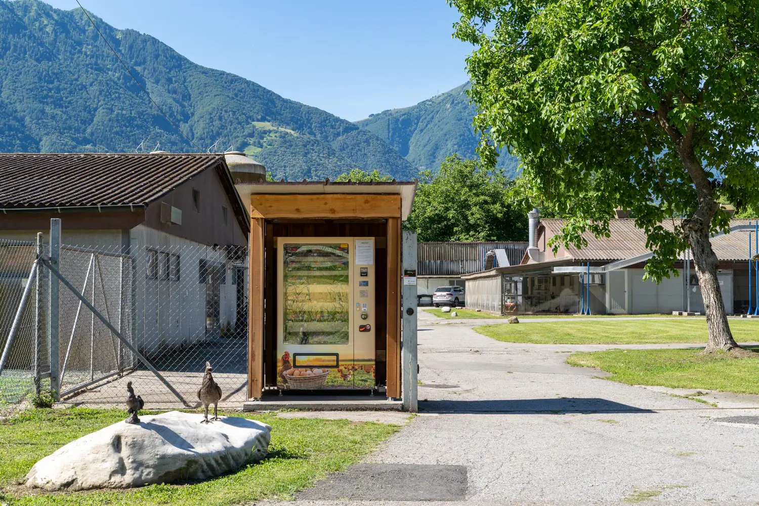Il chiosco con il distributore automatico di uova all'ingresso dell'azienda, con le galline e le montagne ticinesi